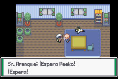 Pokemon Hoenn Adventures GBA ROM Hacks 