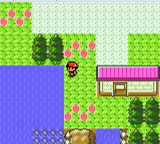 Pokemon Light Platonism GBC ROM Hacks 