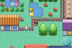 Pokemon Malosse Challenge GBA ROM Hacks 