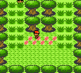 Pokemon Pyrite GBC ROM Hacks 