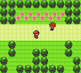 Pokemon Pyrite GBC ROM Hacks 