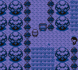 Pokemon Red ++ GBC ROM Hacks 