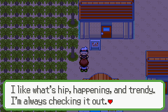 Pokemon Ruby Renev GBA ROM Hacks 