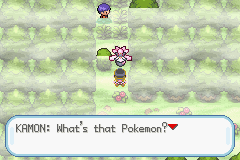 Pokemon Shiny Jewel GBA ROM Hacks 