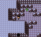 Pokemon Stygian GBC ROM Hacks 