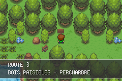 Pokemon Version Eclat Pourpre GBA ROM Hacks 