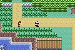 Pokemon Vortex Version GBA ROM Hacks 