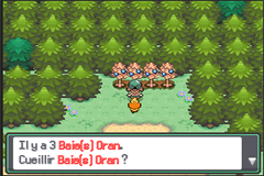 Pokemon Emerald Sky RMXP Hacks 