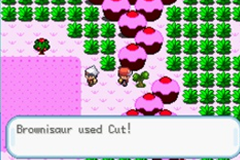 pokemon sweet version rom