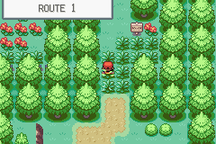 Pokemon Conjure GBA ROM Hacks 