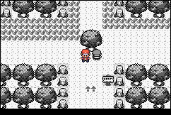 Pokemon Retro Red GBA ROM Hacks 