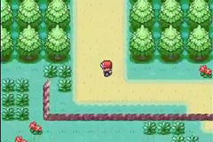 Pokemon Rouge GBA ROM Hacks 