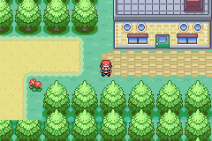 Pokemon Rouge GBA ROM Hacks 