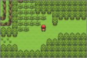 Pokemon Camp Baker GBA ROM Hacks 