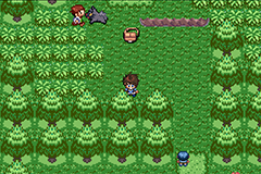 Pokemon Cerice GBA ROM Hacks 