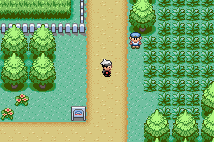 Pokemon Coltan Edition GBA ROM Hacks 