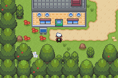 Pokemon Emerald Dreams GBA ROM Hacks 