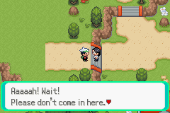 Pokemon Emerald Dreams GBA ROM Hacks 