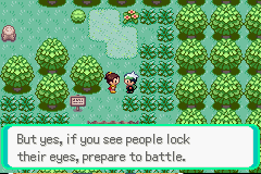 Pokemon Heat of Fate GBA ROM Hacks 