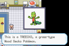 Pokemon Lorrah GBA ROM Hacks 