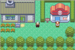 Pokemon Reversal Of Illusion GBA ROM Hacks 