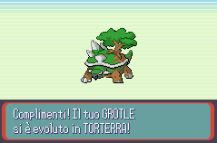 Pokemon Versione Reliquia Gotica GBA ROM Hacks 