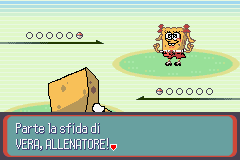 Pokemon Versione Spugnosa GBA ROM Hacks 