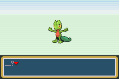 Pokemon Flora Flame GBA ROM Hacks 