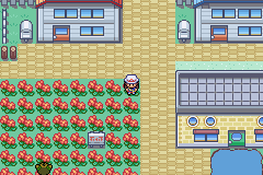 Pokemon Flora Flame GBA ROM Hacks 