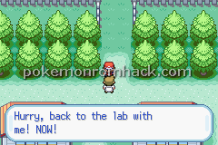 Pokemon Flare GBA ROM Hacks 