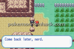 Pokemon Flare GBA ROM Hacks 