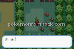 Pokemon Flare GBA ROM Hacks 