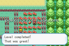 Pokemon FireRed VR Missions GBA ROM Hacks 