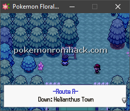 Pokemon Floral Tempus RMXP Hacks 