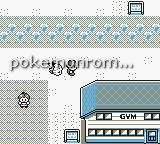 Pokemon Metallic GBC ROM Hacks 