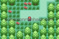 Pokemon Blu Idro GBA ROM Hacks 