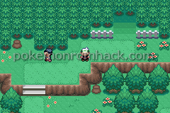 Pokemon Emerald Genesis GBA ROM Hacks 