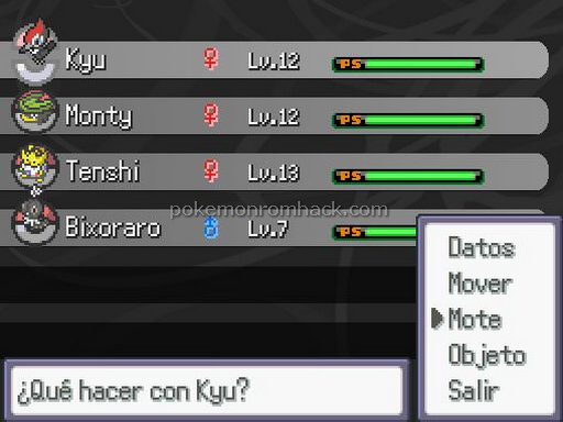 Pokemon Excelsis RMXP Hacks 