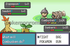 Pokemon New Emerald GBA ROM Hacks 