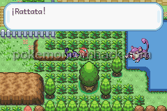 Pokemon The Fall Of Heroes GBA ROM Hacks 