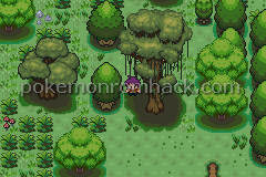 Pokemon The Fall Of Heroes GBA ROM Hacks 