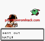 Pokemon Ancient Ruby GBC ROM Hacks 