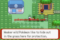 pokemon blazing emerald download