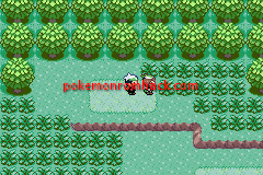 Pokemon Emerald Balanced GBA ROM Hacks 