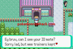 Pokemon Emerald Trashlocke Edition Download Informations Media Pokemon Gba Rom Hacks