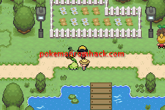 Pokemon Saffron GBA ROM Hacks 