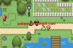 Pokemon Saffron GBA ROM Hacks 