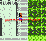 Pokemon Untitled Unova Game GBC ROM Hacks 