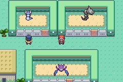 Pokemon Firered ReImagined GBA ROM Hacks 