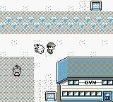 Pokemon INSANE Red GBC ROM Hacks 